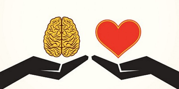 our brain in love