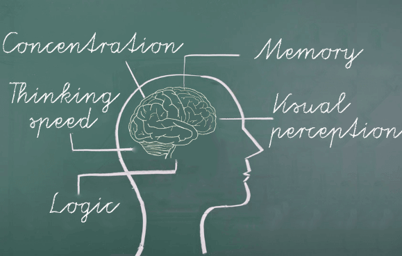 brain training cognitive categories